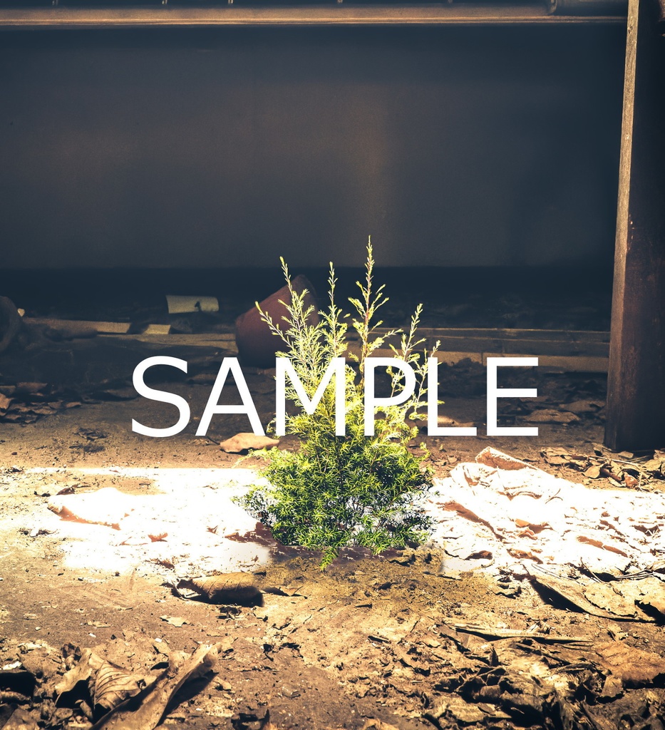 額装写真 聖なる光