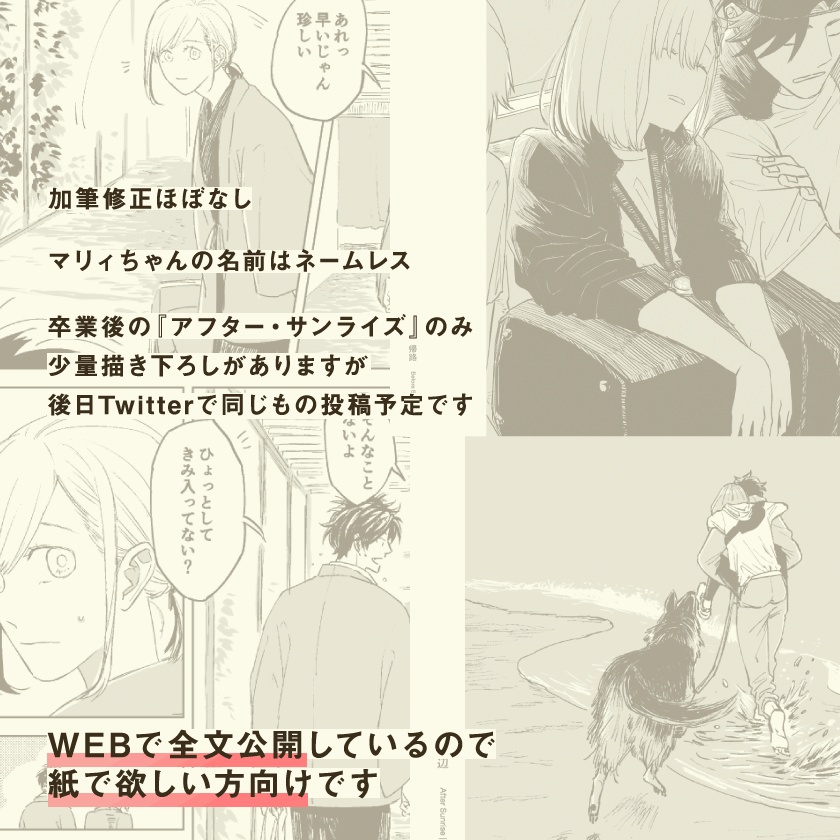 『ビフォア・サンセット』/『アフター・サンライズ』