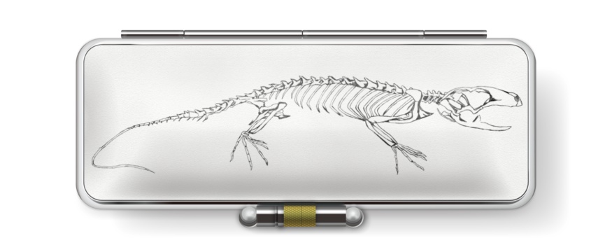スケルトカゲ【印鑑ケース】