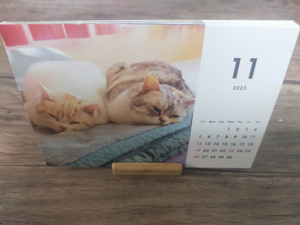 スタンド付き】 我が家の猫カレンダー2024(画像は2023年の物) - まさ