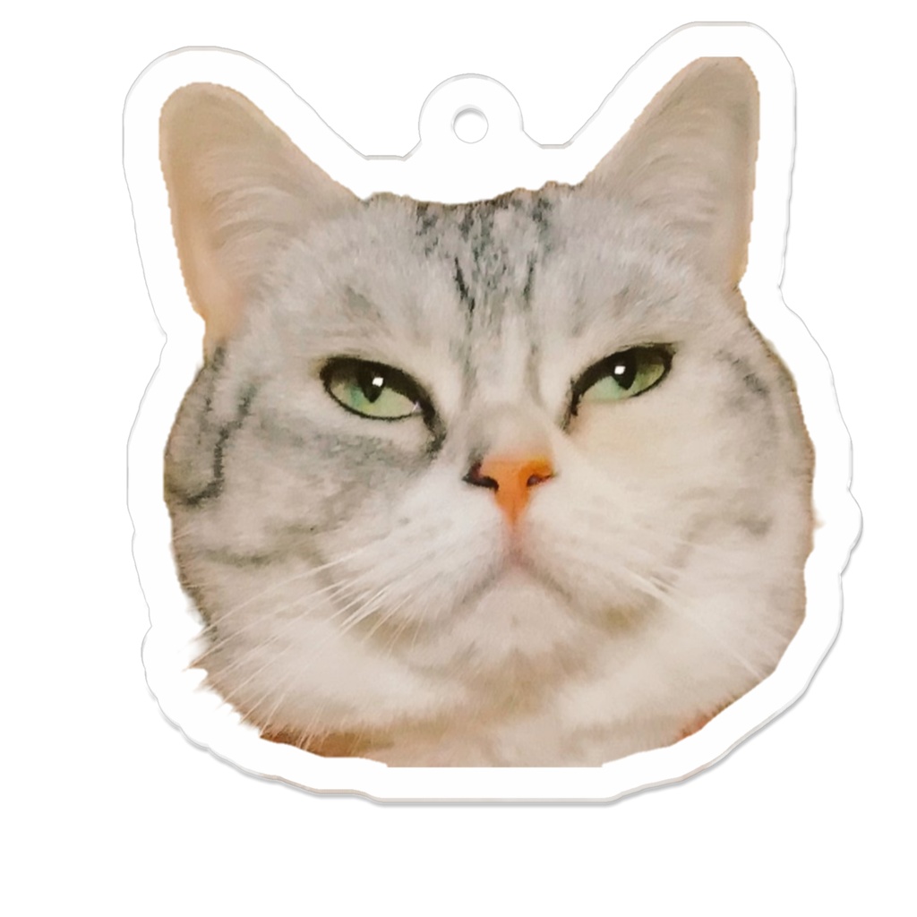 しみじみとした顔の猫