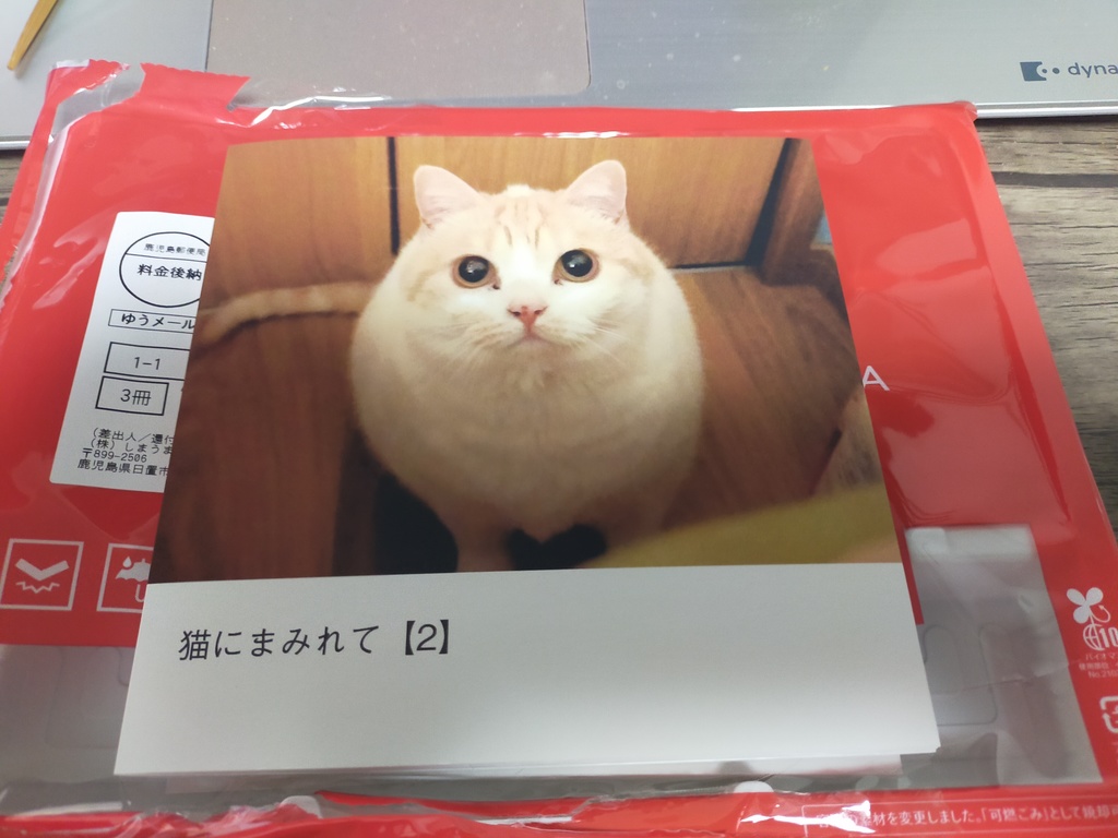 我が家の猫写真集 第2弾