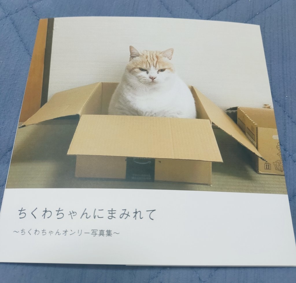 【安心パック(匿名)】ちくわちゃん写真集