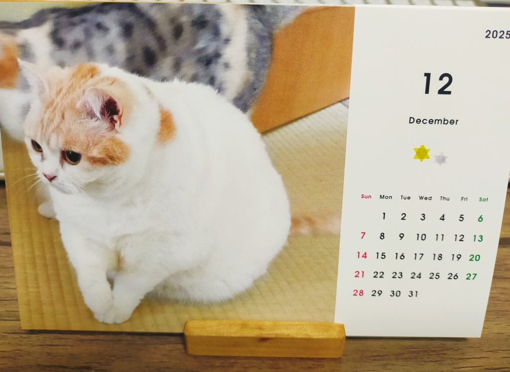 我が家の猫カレンダー　2025年Ver