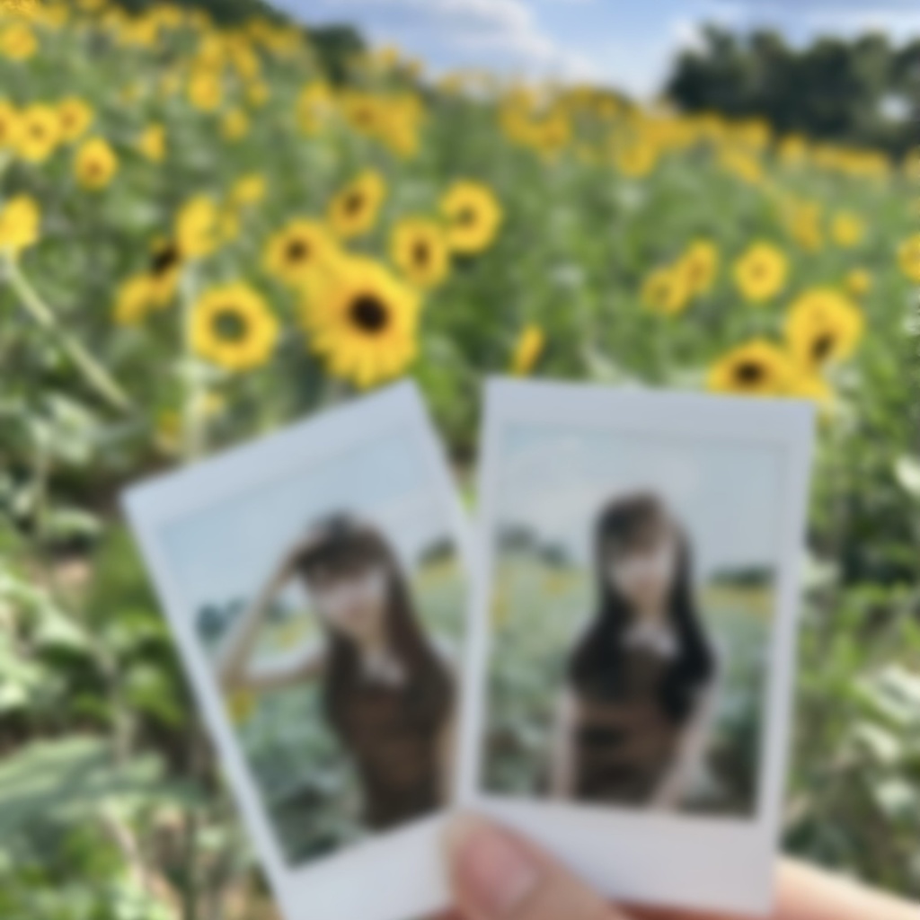 ひまわり サインチェキ