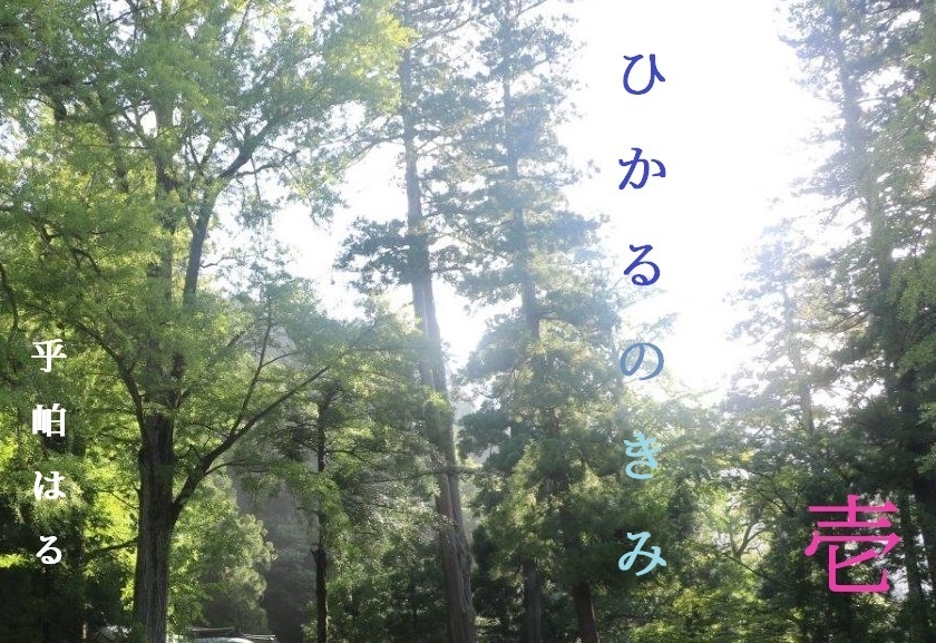 ひかるのきみ 壱
