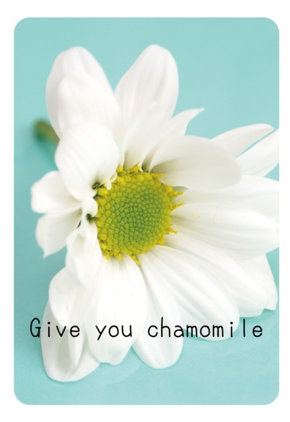 Give you chamomile