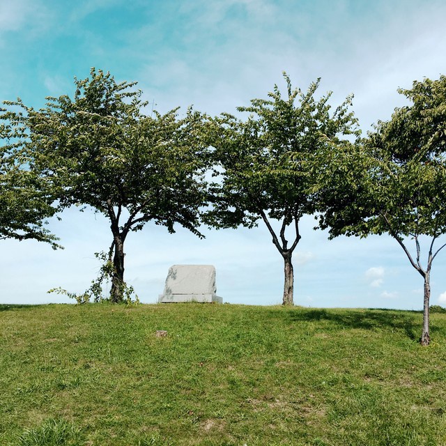 DETROIT:現地調査報告書