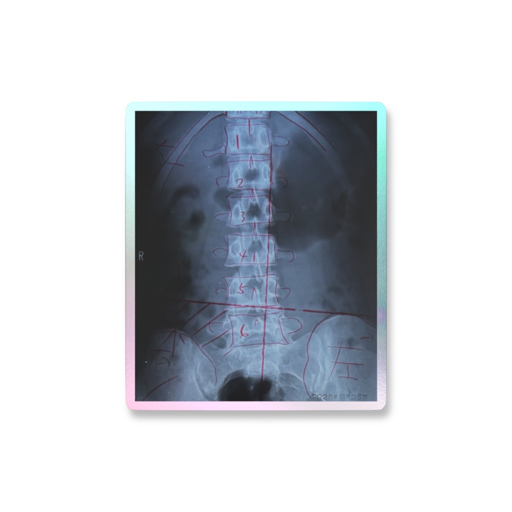 骨オーロラスマホステッカー