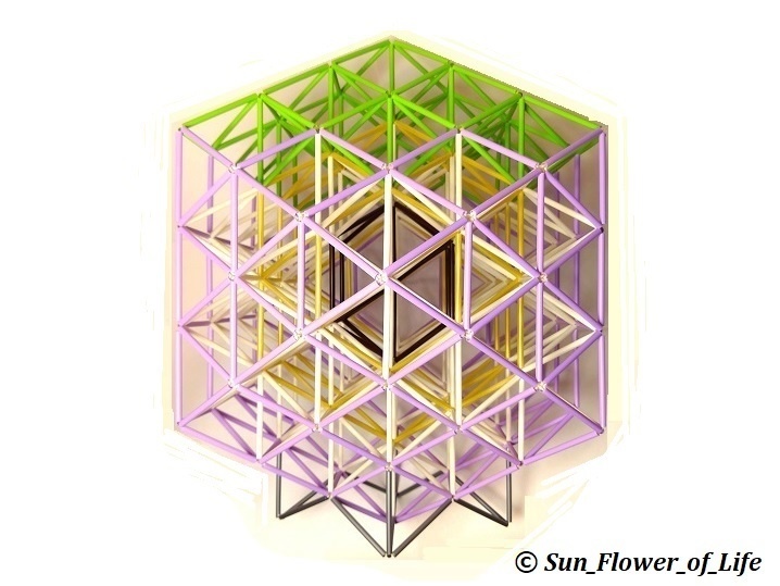 立体フラワーオブライフ［藤棚］　3D Flower of Life  [Wisteria]