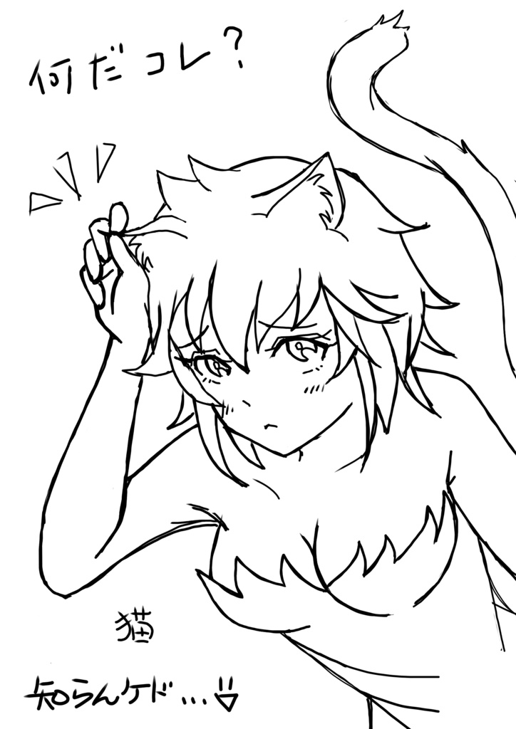 にゃんこれーだー🐾かわいい♥イラストTシャツ(前面)