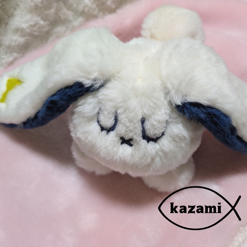 うさぎ座の精霊