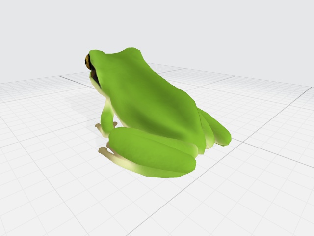 【カエルモデル】ニホンアマガエル(Dryophytes japonica)