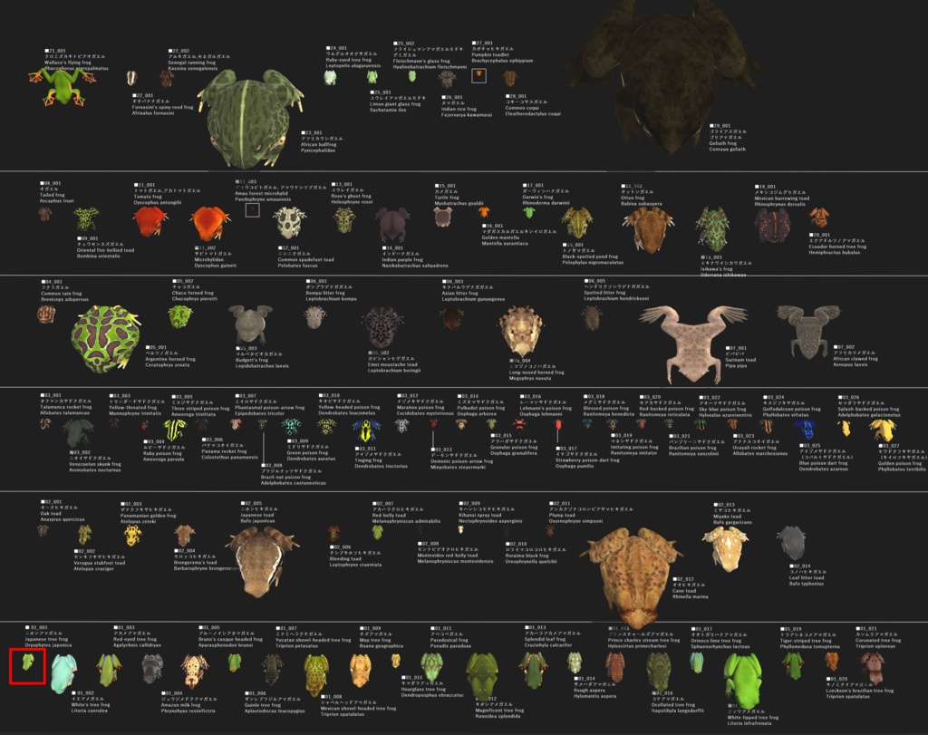 【カエルモデル】ニホンアマガエル(Dryophytes japonica)