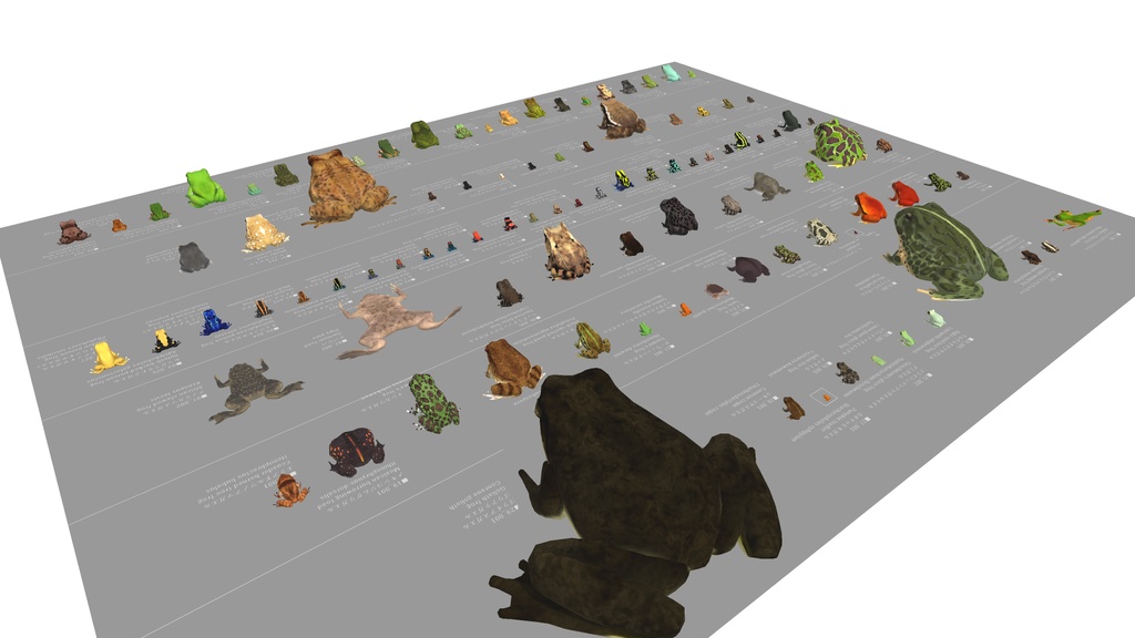 【カエルモデル】100匹カエル ※1匹ずつの販売あり