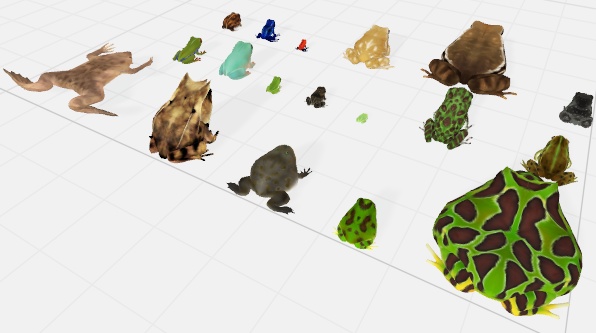 【カエルモデル】日本人気の18匹カエル