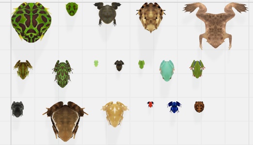 【カエルモデル】日本人気の18匹カエル