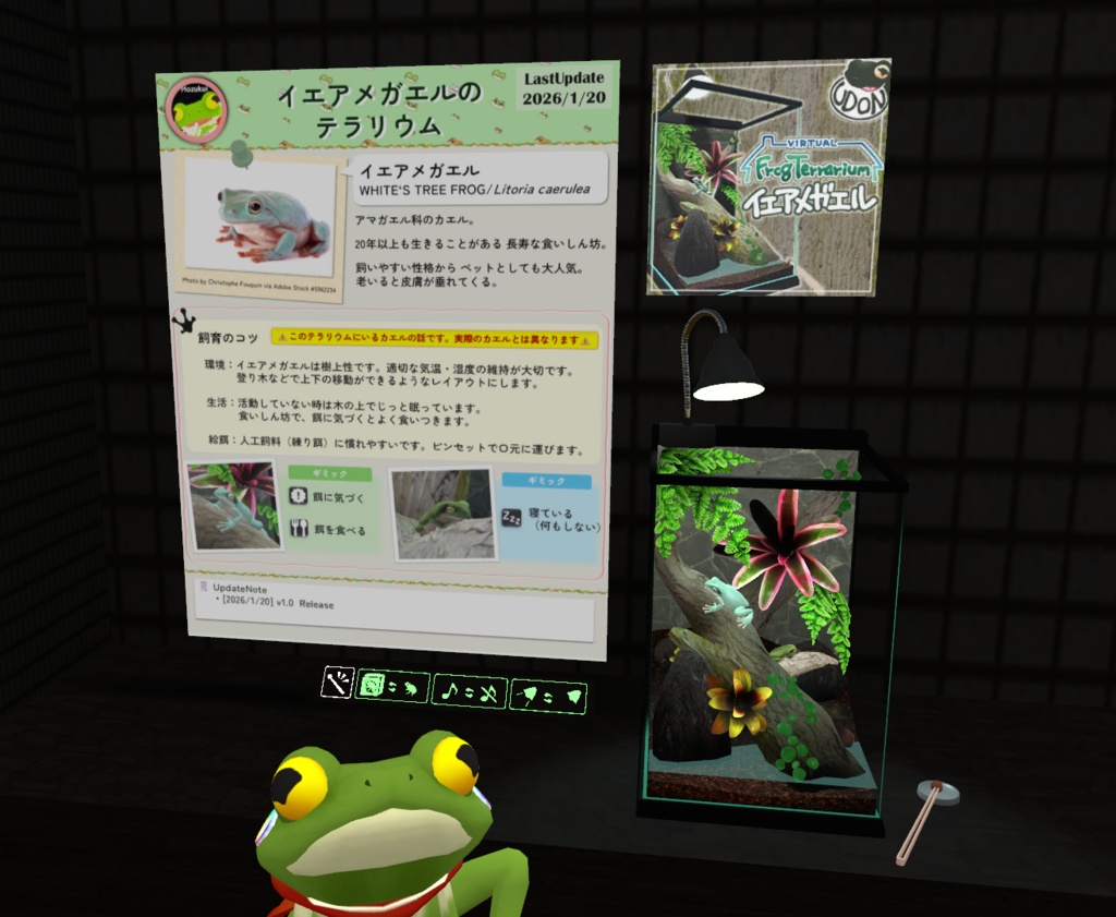 【VirtualFrogTerrarium】イエアメガエル(Litoria caerulea)