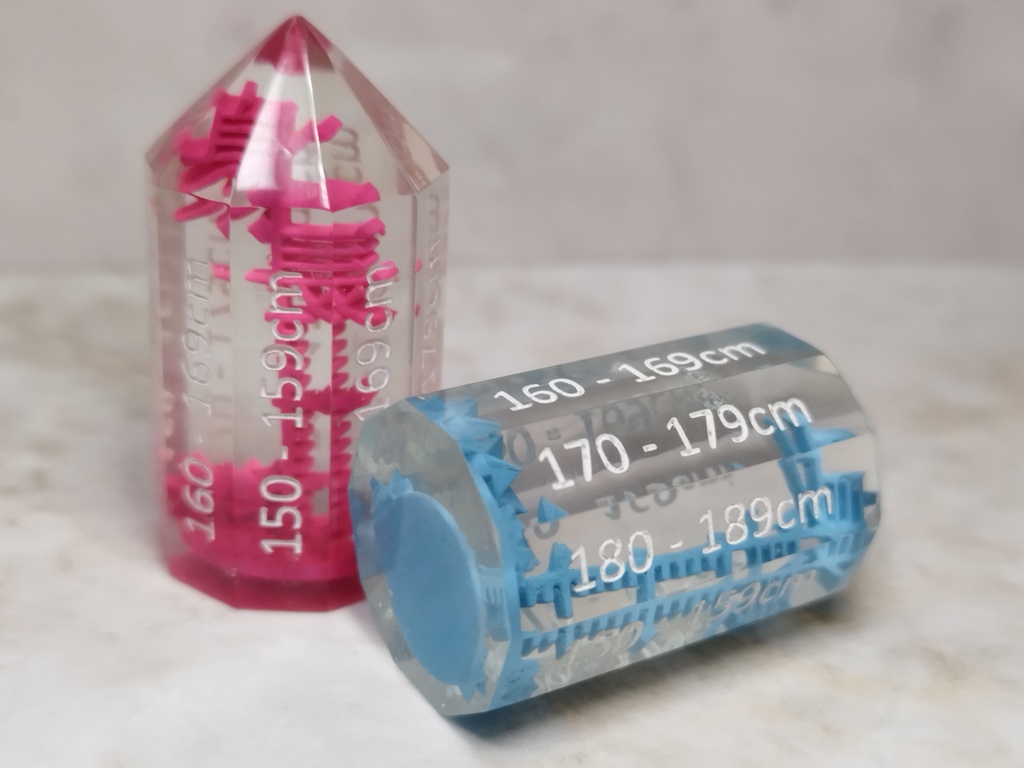 身長ダイス 男/女