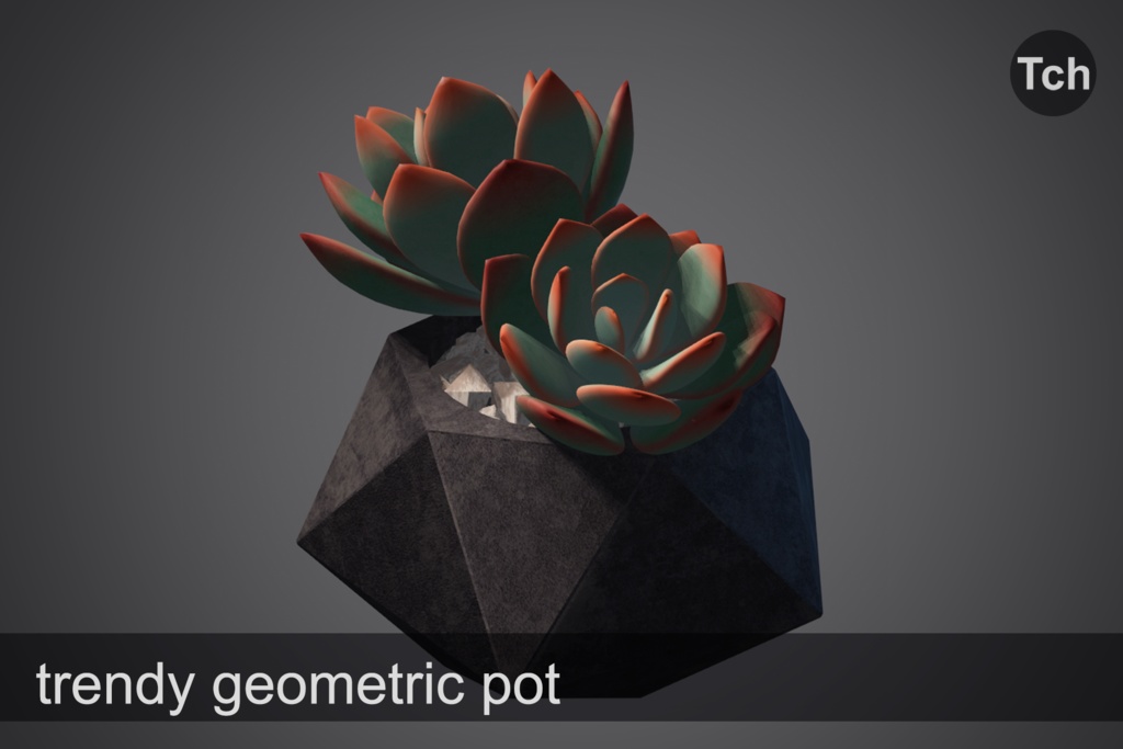 3D Blue echeveria: succulent in a pot || 3D 青いエケベリア: 鉢植えの多肉植物
