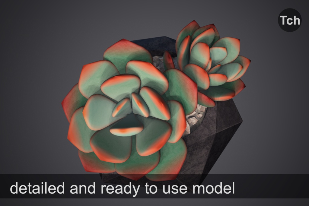 3D Blue echeveria: succulent in a pot || 3D 青いエケベリア: 鉢植えの多肉植物