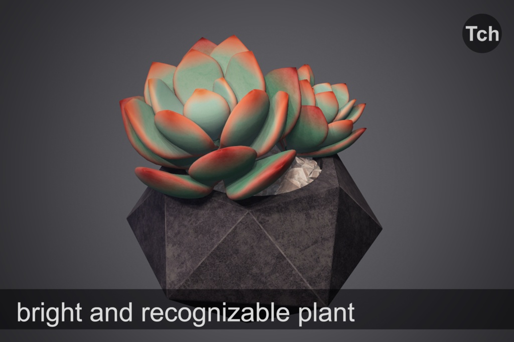 3D Blue echeveria: succulent in a pot || 3D 青いエケベリア: 鉢植えの多肉植物