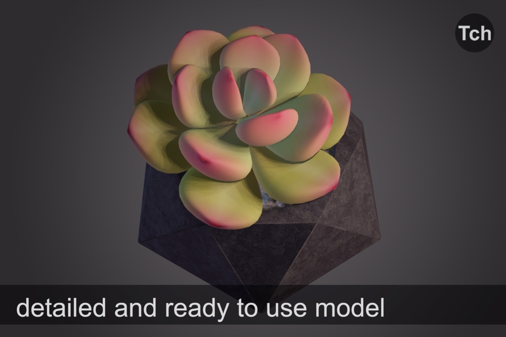 3D Pink echeveria: succulent in a pot || 3D ピンクのエケベリア:鉢植えの多肉植物