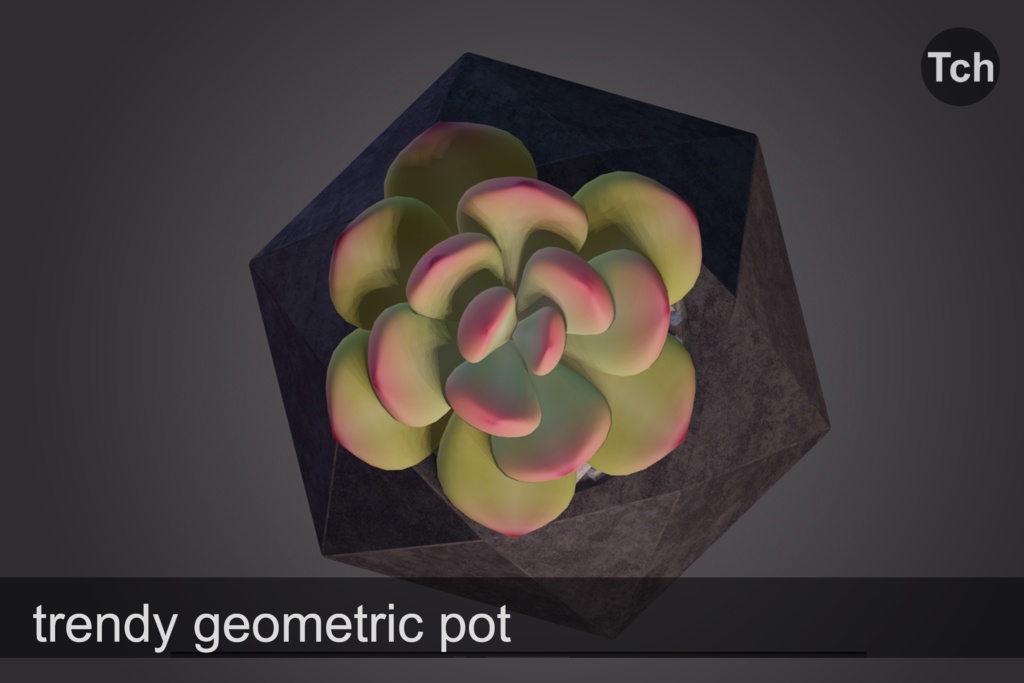 3D Pink echeveria: succulent in a pot || 3D ピンクのエケベリア:鉢植えの多肉植物