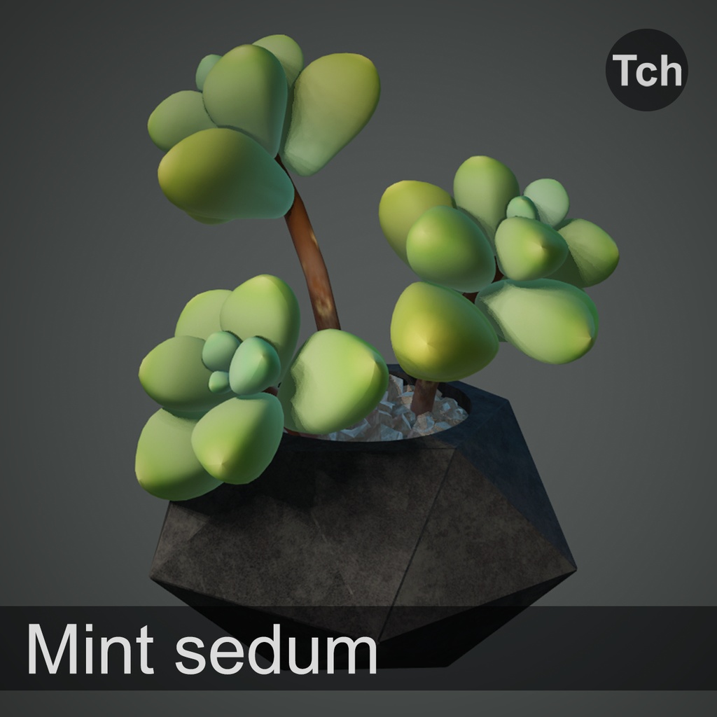 3D Mint sedum : succulent in a pot || 3D ミントセダム: 鉢植えの多肉植物  