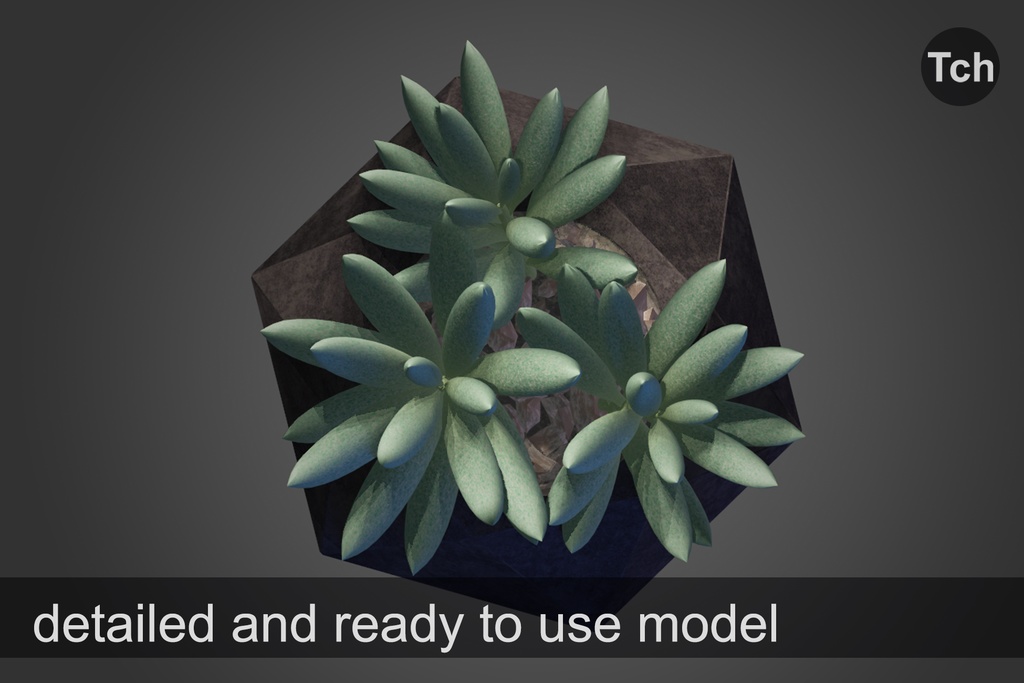 3D Silvery senecio: succulent in a pot || 3D 銀色のセネシオ: 鉢植えの多肉植物