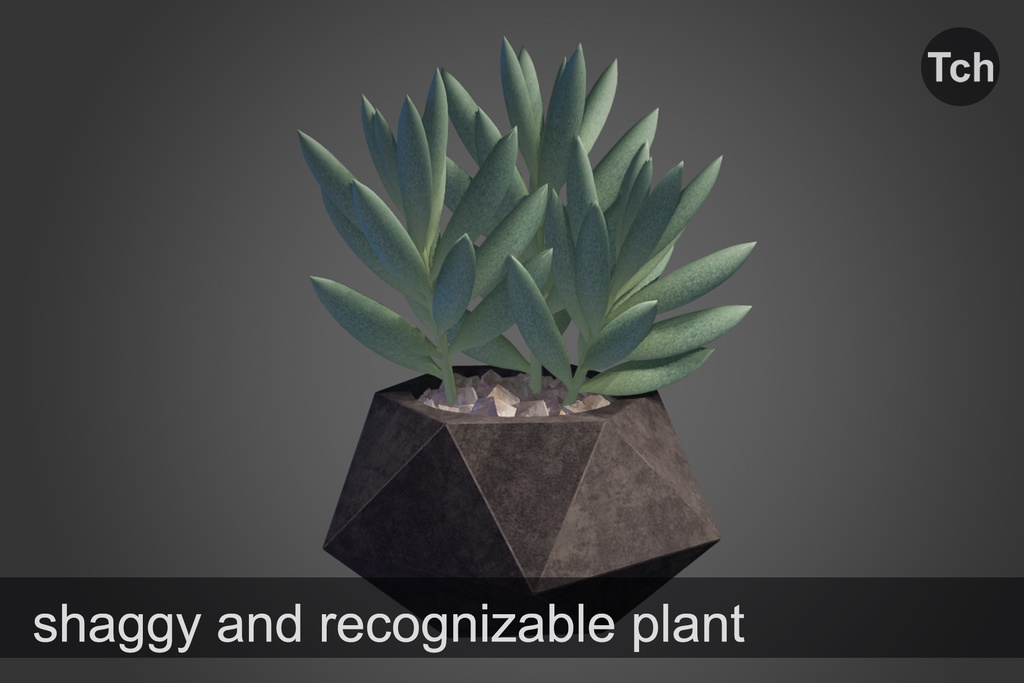 3D Silvery senecio: succulent in a pot || 3D 銀色のセネシオ: 鉢植えの多肉植物