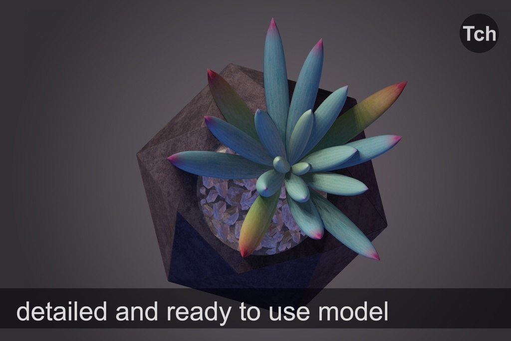 3D Violet senecio : succulent in a pot || 3D バイオレット セネシオ: 鉢植えの多肉植物