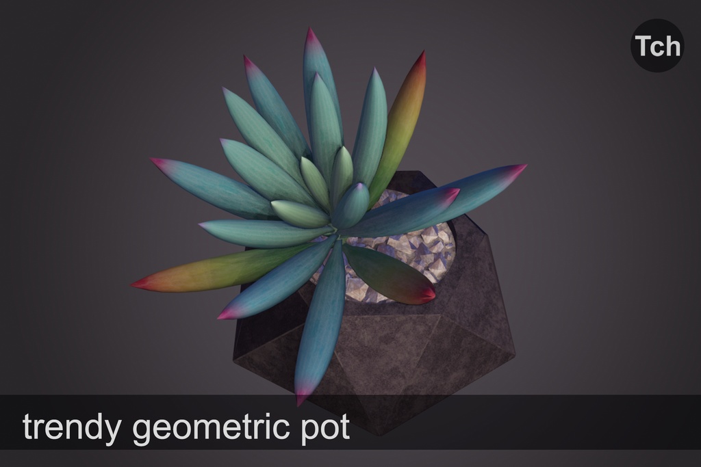 3D Violet senecio : succulent in a pot || 3D バイオレット セネシオ: 鉢植えの多肉植物