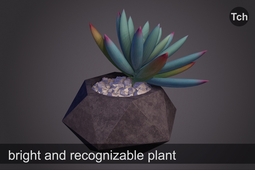 3D Violet senecio : succulent in a pot || 3D バイオレット セネシオ: 鉢植えの多肉植物