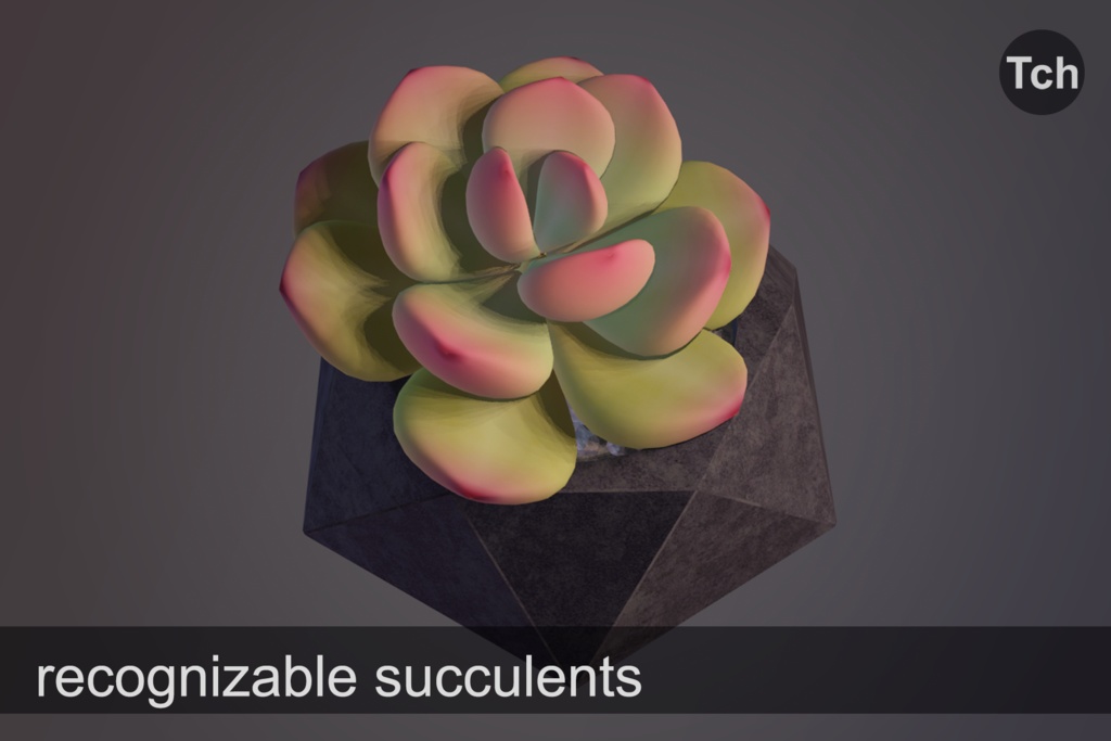 3D Succulents in pots (pack of 5 plants) || 3D 鉢植えの多肉植物(5本入りパック)