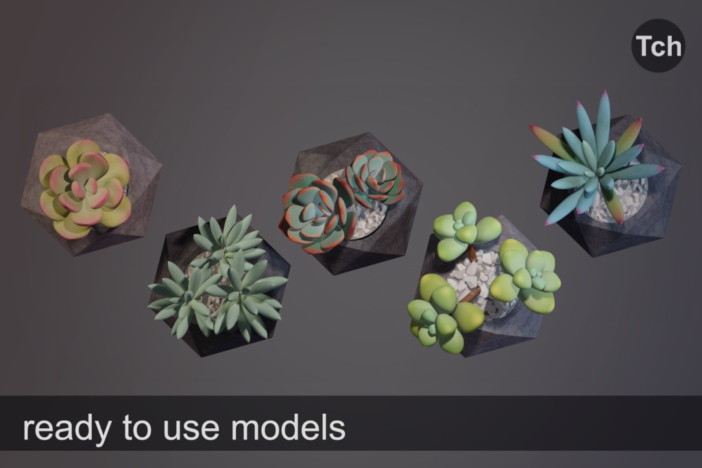 3D Succulents in pots (pack of 5 plants) || 3D 鉢植えの多肉植物(5本入りパック)
