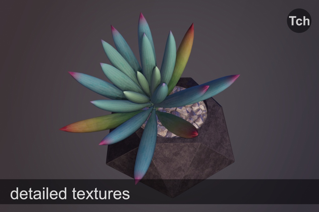 3D Succulents in pots (pack of 5 plants) || 3D 鉢植えの多肉植物(5本入りパック)