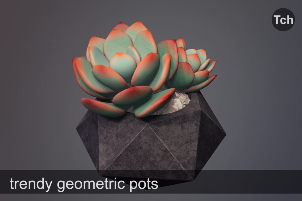 3D Succulents in pots (pack of 5 plants) || 3D 鉢植えの多肉植物(5本入りパック)