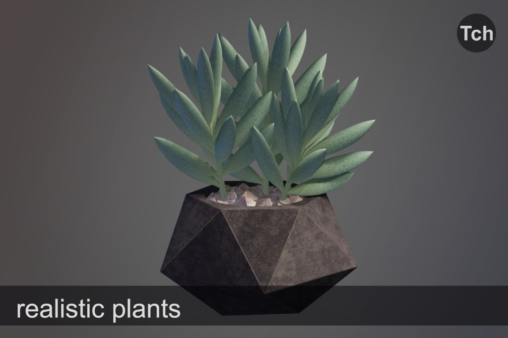 3D Succulents in pots (pack of 5 plants) || 3D 鉢植えの多肉植物(5本入りパック)
