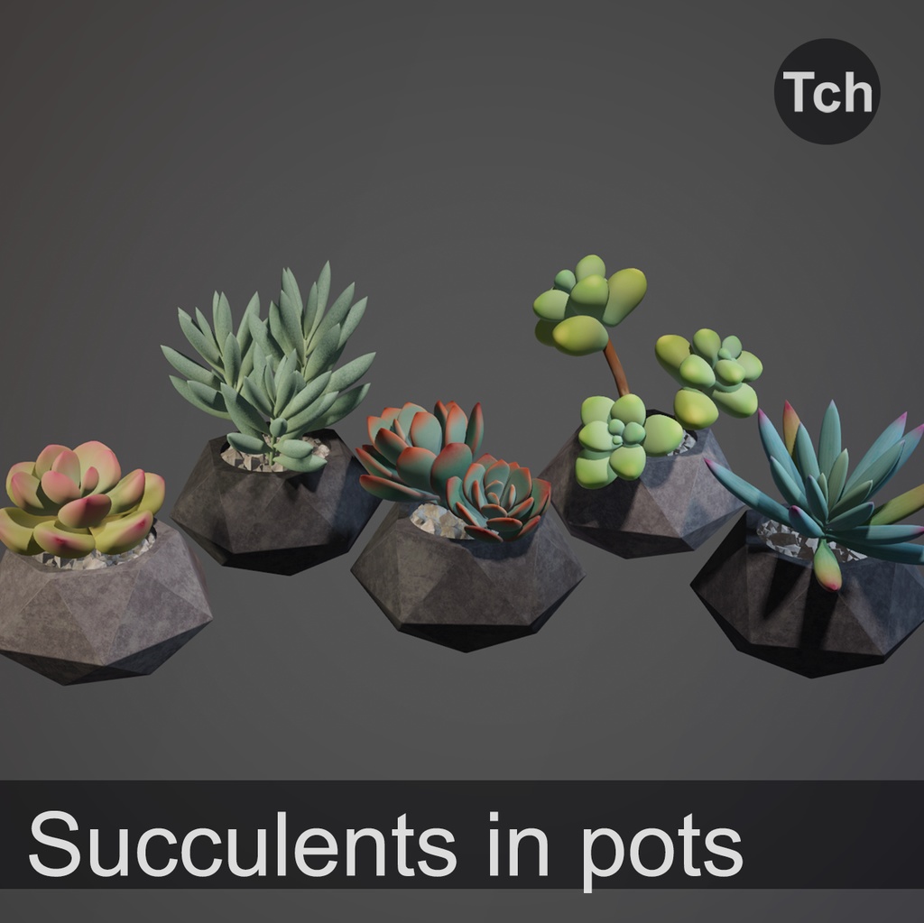3D Succulents in pots (pack of 5 plants) || 3D 鉢植えの多肉植物(5本入りパック)