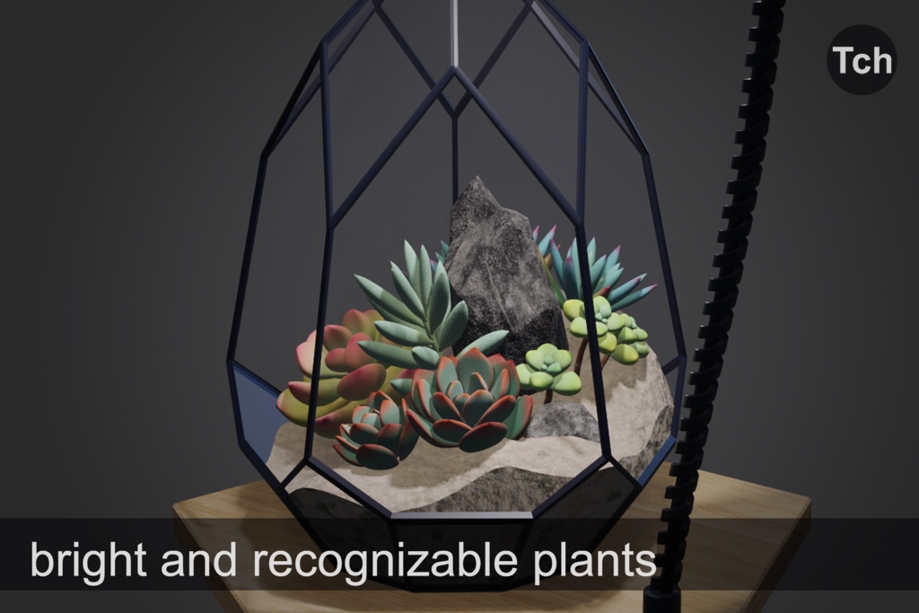 3D Florarium with succulents || 3D 多肉植物を使ったフローラリウム