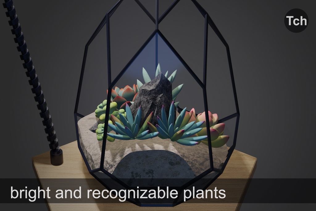 3D Florarium with succulents || 3D 多肉植物を使ったフローラリウム