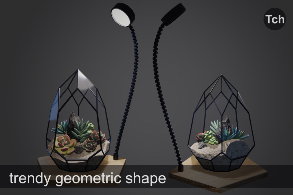 3D Florarium with succulents || 3D 多肉植物を使ったフローラリウム