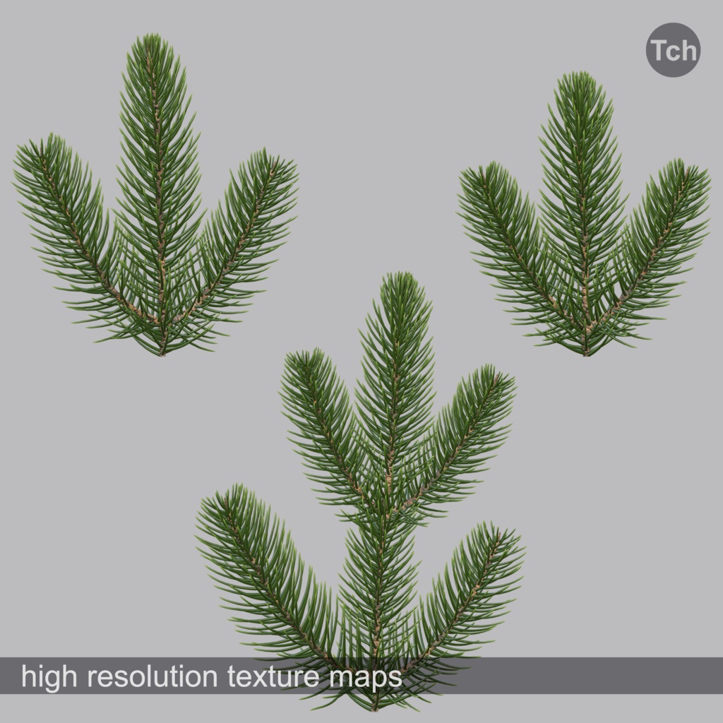 Christmas tree lettuce (3D) | レタス色のクリスマス ツリー (3D)