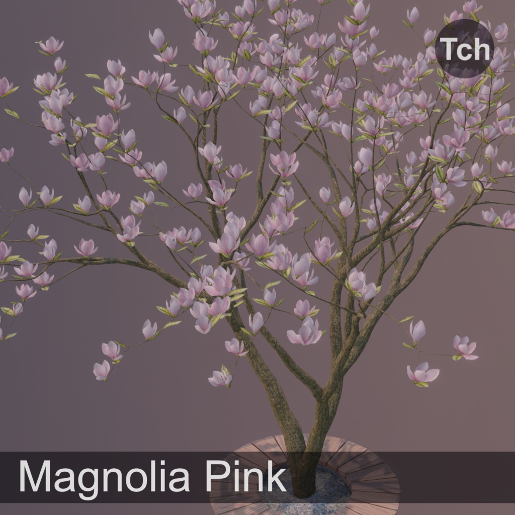 Pink magnolia tree (3D) || マグノリアピンク(3D)