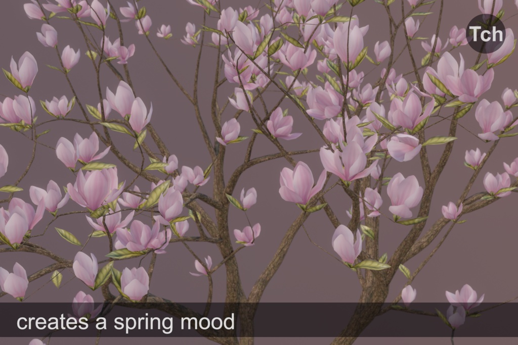 Pink magnolia tree (3D) || マグノリアピンク(3D)