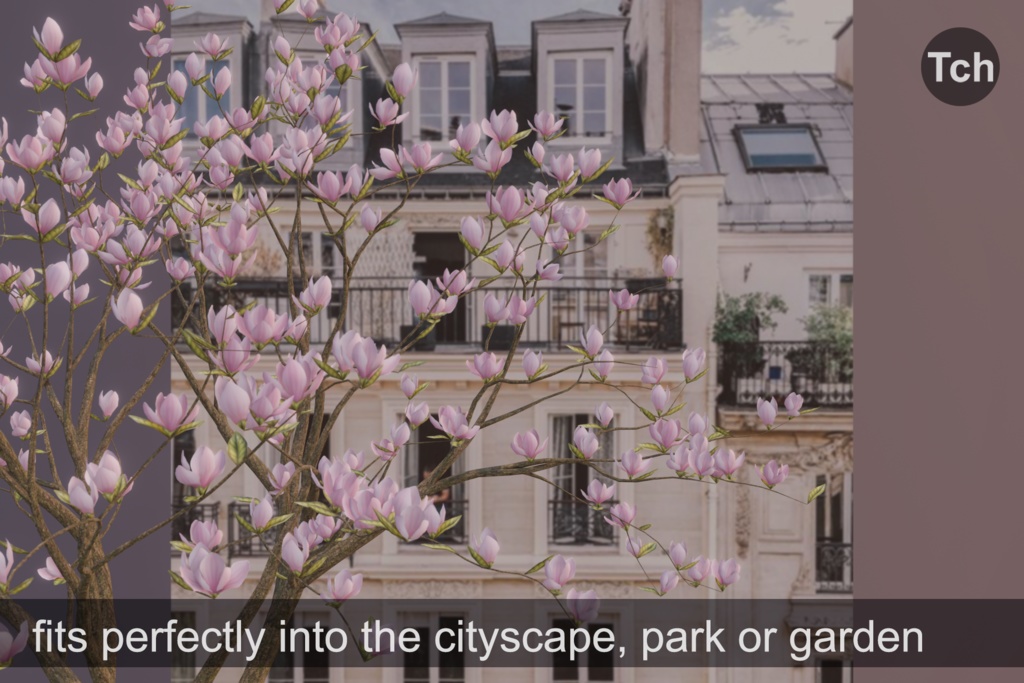 Pink magnolia tree (3D) || マグノリアピンク(3D)