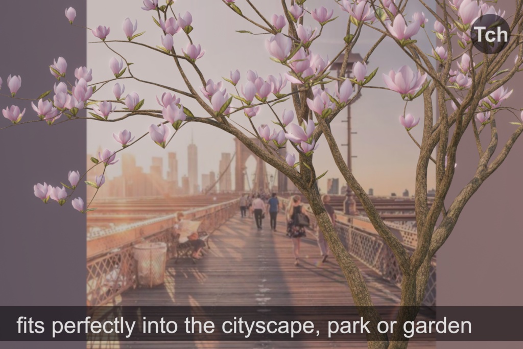 Pink magnolia tree (3D) || マグノリアピンク(3D)