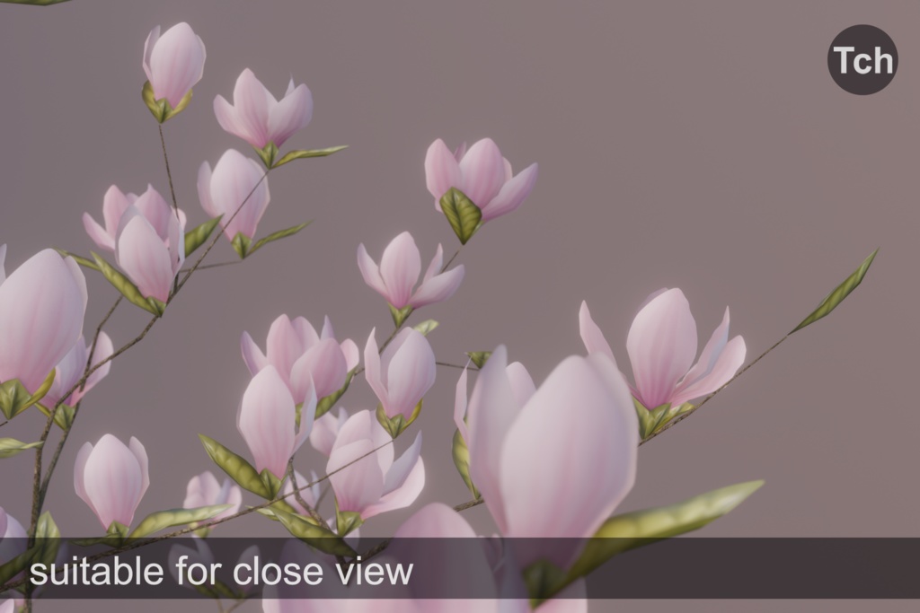 Pink magnolia tree (3D) || マグノリアピンク(3D)