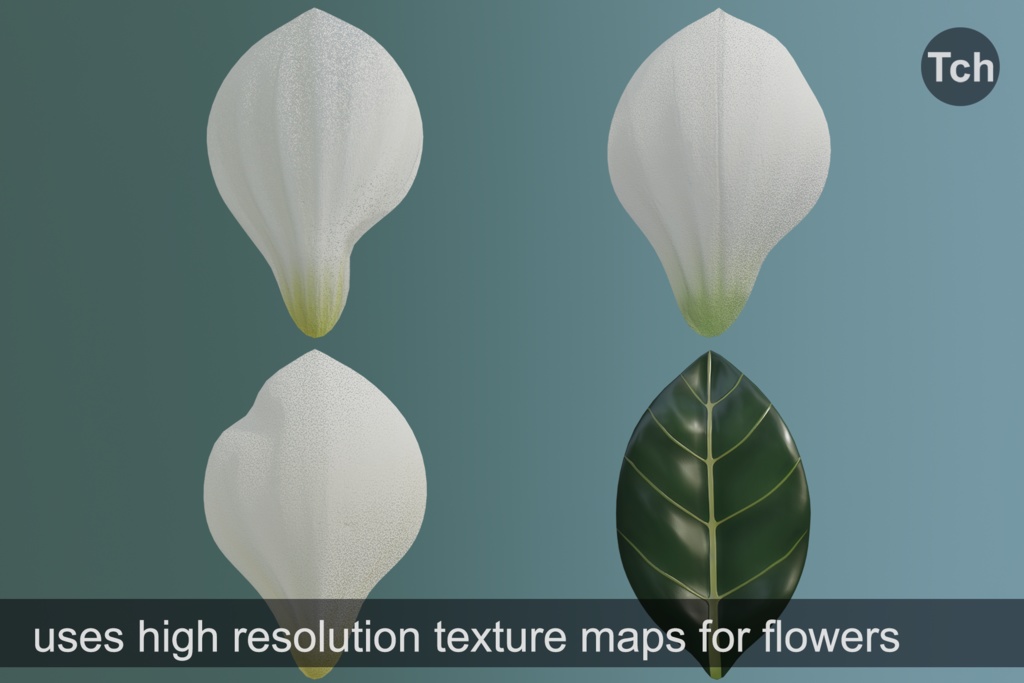 White magnolia tree (3D) || マグノリア ホワイト (3D)